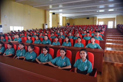 滨海新区文艺小分队圆满完成和田文化交流活动，谱写文化交融新篇章